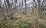 Terrain à vendre à Esson — Vue nature — photo 2