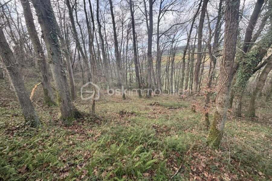 Terrain à vendre à Esson — Vue nature — photo 2