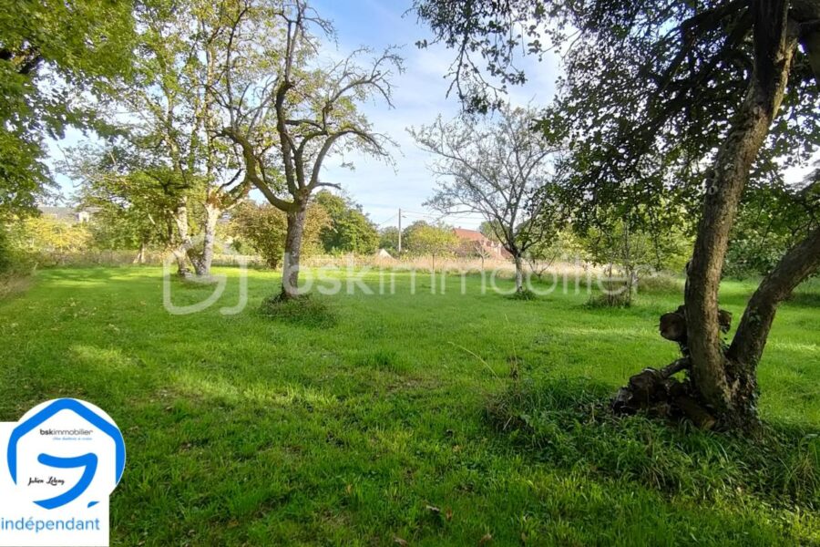 Terrain à vendre à Parigny les vaux — Vue nature — photo 2