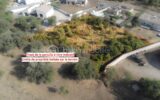 Terrain à vendre à La tour sur orb — Vue dégagée — photo 2