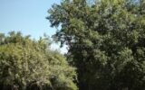 Terrain à vendre à Varennes — Vue dégagée — photo 1