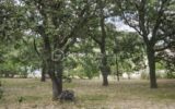 Terrain à vendre à Bouloc — Vue dégagée — photo 1