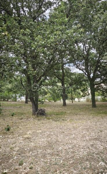 Terrain à vendre à Bouloc — Vue dégagée — photo 1