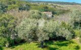 Maison à vendre à Uzes — Vue nature — photo 1