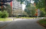 Appartement à vendre à Rennes — Vue nature — photo 2