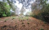 Terrain à vendre à Pin balma — Vue dégagée — photo 2
