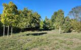 Terrain à vendre à La chapelle sur oreuse — Vue dégagée — photo 1