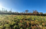 Terrain à vendre à Landiras — Vue dégagée — photo 1