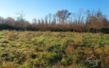 Terrain à vendre à Landiras — Vue dégagée — photo 1
