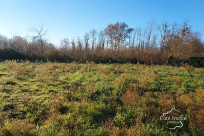Terrain à vendre à Landiras