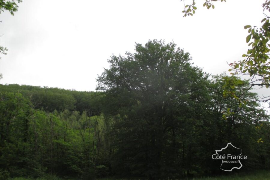 Terrain à vendre à Sainte foy de belves — Vue nature — photo 2