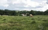 Terrain à vendre à Bagnac sur cele — Vue nature — photo 2