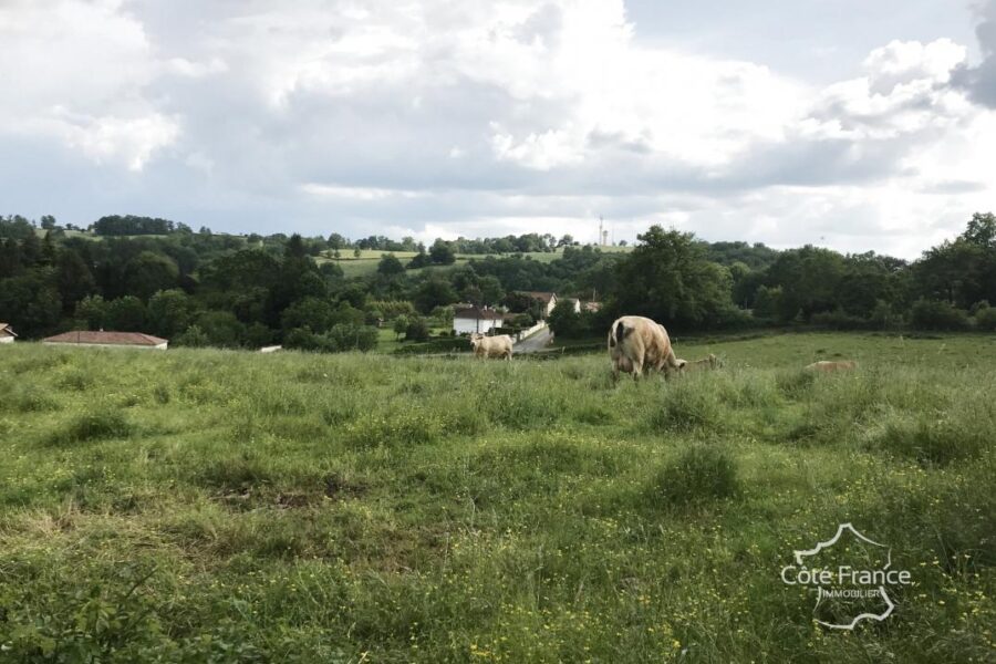 Terrain à vendre à Bagnac sur cele — Vue nature — photo 2