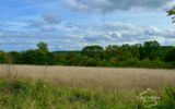 Terrain à vendre à Crain — Vue nature — photo 2