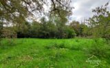 Terrain à vendre à Louchats — Vue dégagée — photo 1