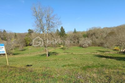 Terrain à vendre à Tourtoirac