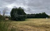 Terrain à vendre à Raveau — Vue nature — photo 1
