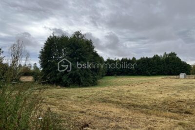 Terrain à vendre à Raveau