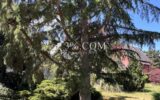 Terrain à vendre à Selestat — Vue dégagée — photo 1