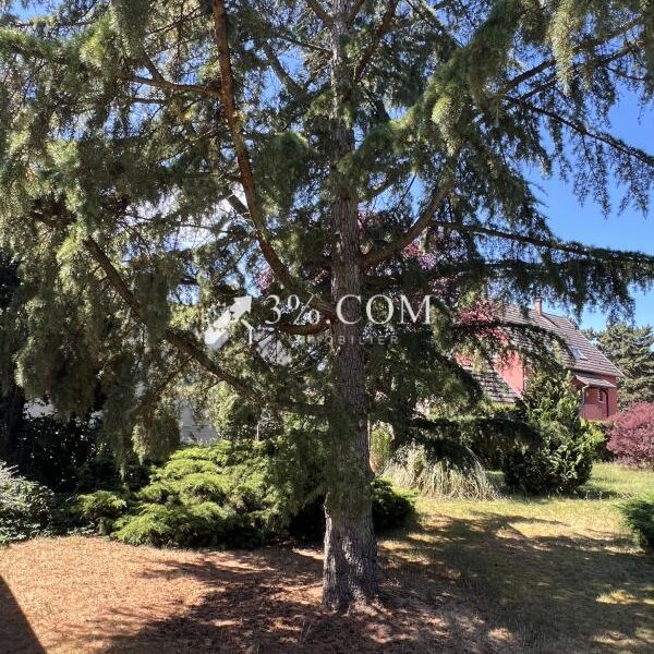 Terrain à vendre à Selestat — Vue dégagée — photo 1