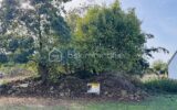 Terrain à vendre à Vendresse — Vue dégagée — photo 1