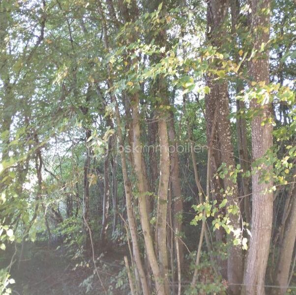 Terrain à vendre à Bailleul — Vue dégagée — photo 1