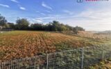 Terrain à vendre à Abbévillers — Vue dégagée — photo 1
