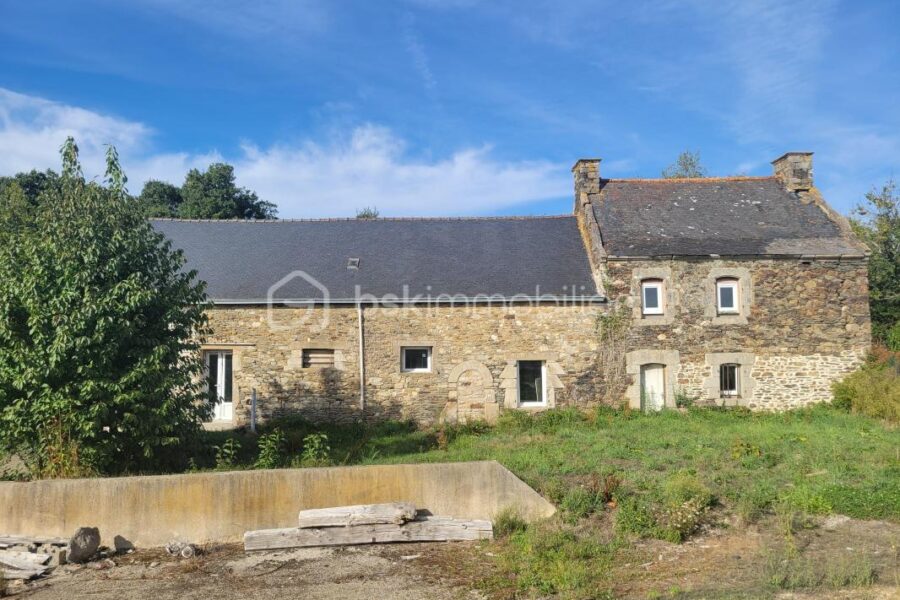 Maison à vendre à Pleugriffet — Vue nature — photo 2