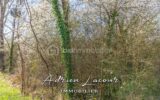 Terrain à vendre à Pruniers en sologne — photo 1