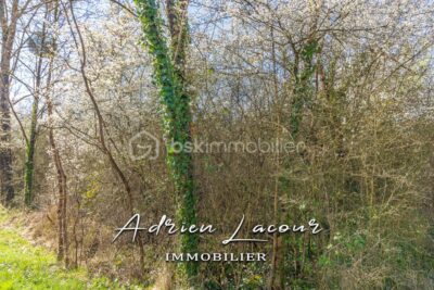 Terrain à vendre à Pruniers en sologne