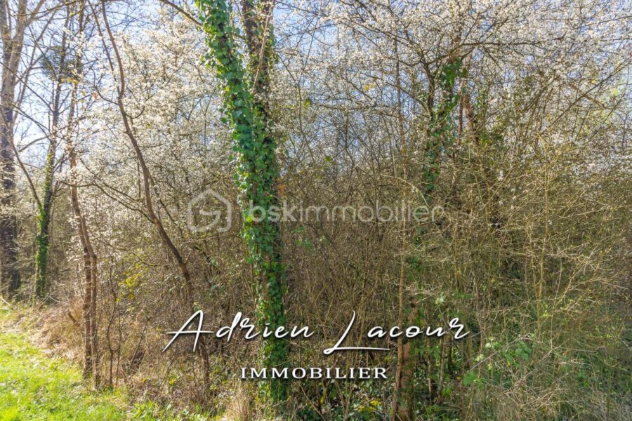 Terrain à vendre à Pruniers en sologne — photo 1