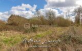 Terrain à vendre à Pruniers en sologne — Vue nature — photo 1