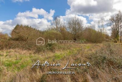 Terrain à vendre à Pruniers en sologne