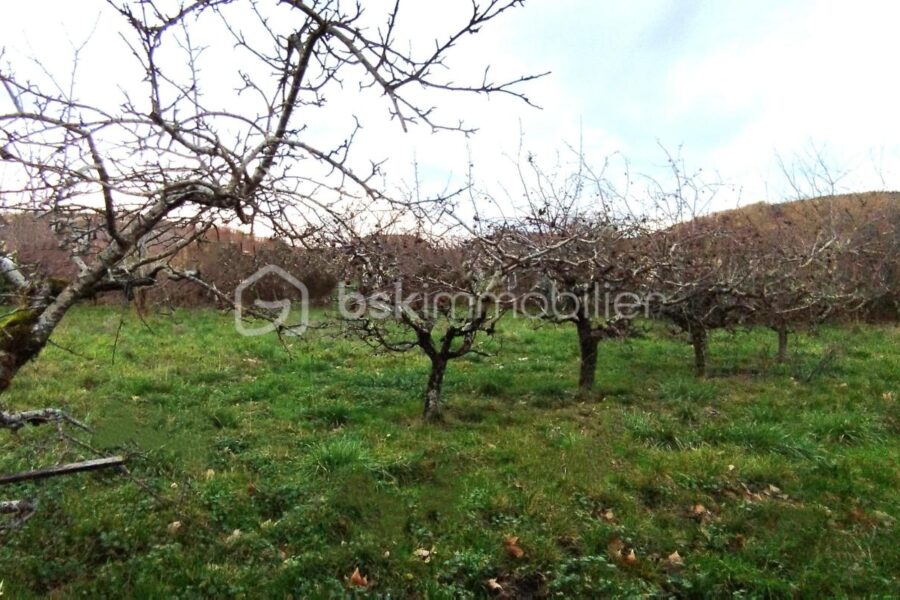 Maison à vendre à Bazens — Vue dégagée — photo 1