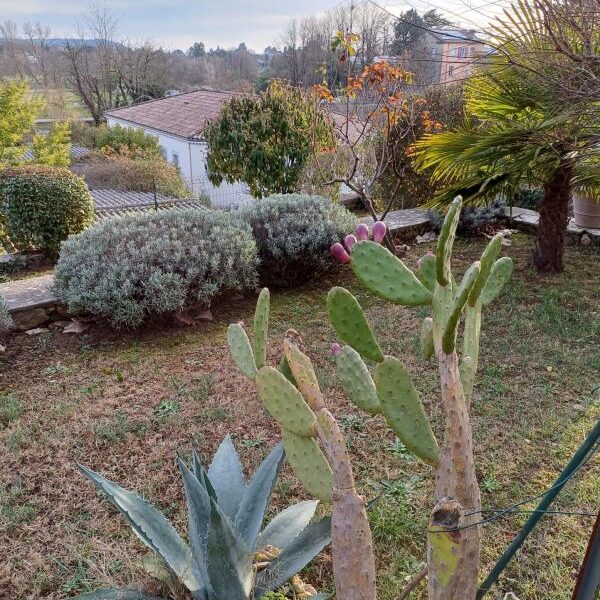 Maison à vendre à Saint privat — Vue nature — photo 10