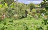 Maison à vendre à Vaucresson — Vue nature — photo 10