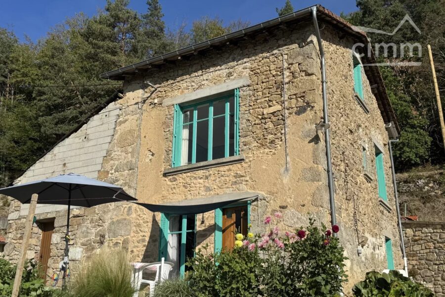 Maison à vendre à Thiolières — Vue montagne — photo 34