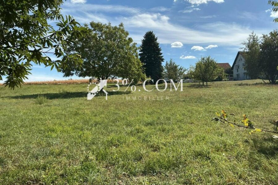 Maison à vendre à Seebach — Vue nature — photo 11