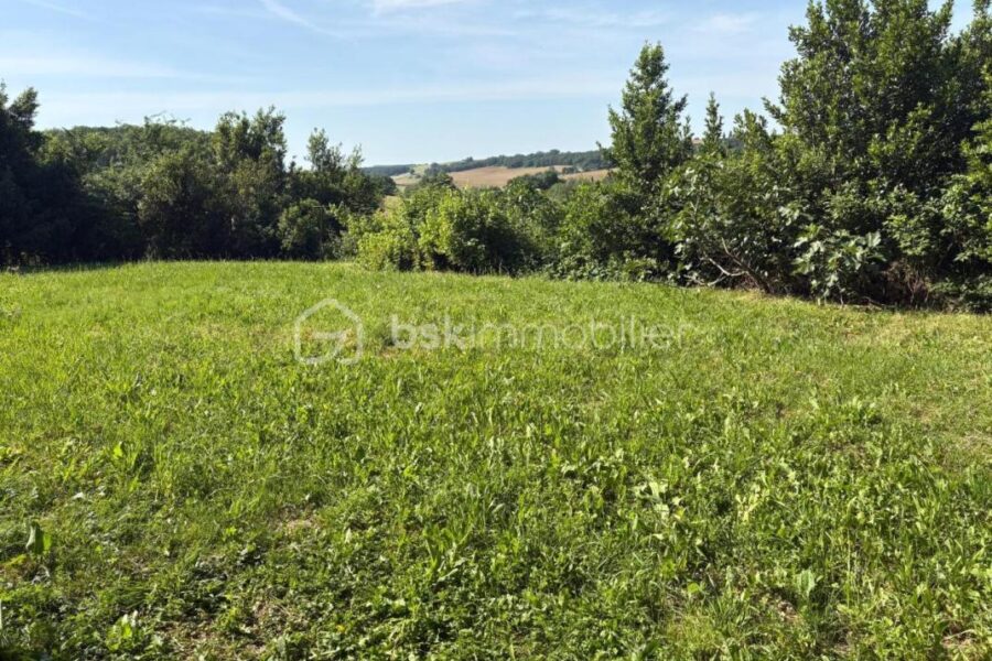 Maison à vendre à Lavardens — Vue nature — photo 11