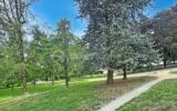 Appartement à vendre à Eybens — Vue montagne — photo 11