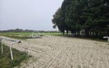 Terrain à vendre à Nozay — Vue nature — photo 11