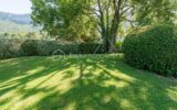 Maison à vendre à Veyrier du lac — Vue nature — photo 11