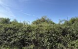 Terrain à vendre à Le mans — Vue dégagée — photo 11