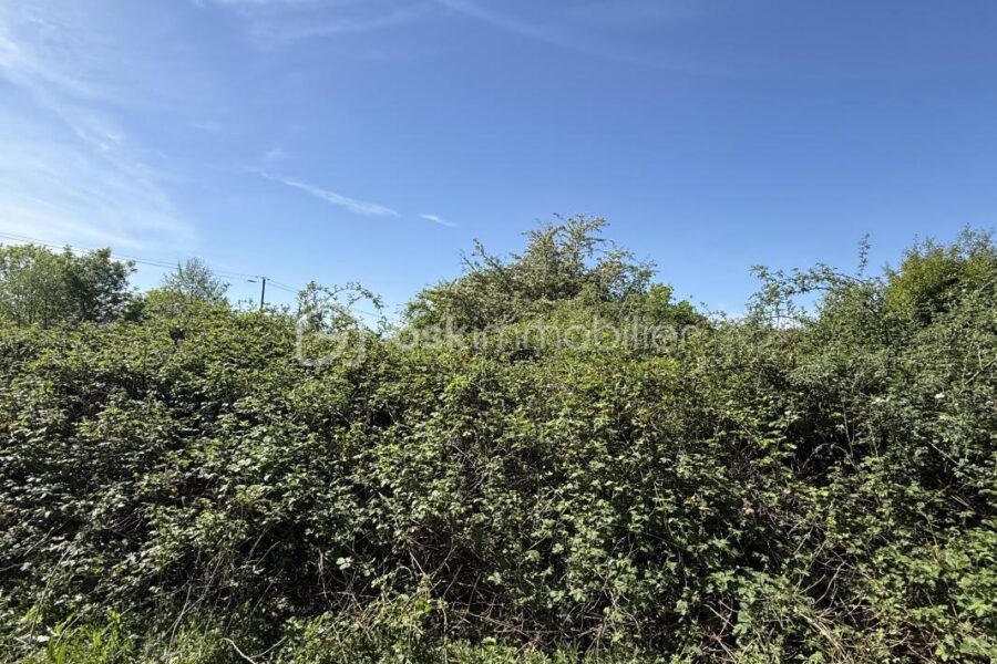 Terrain à vendre à Le mans — Vue dégagée — photo 11