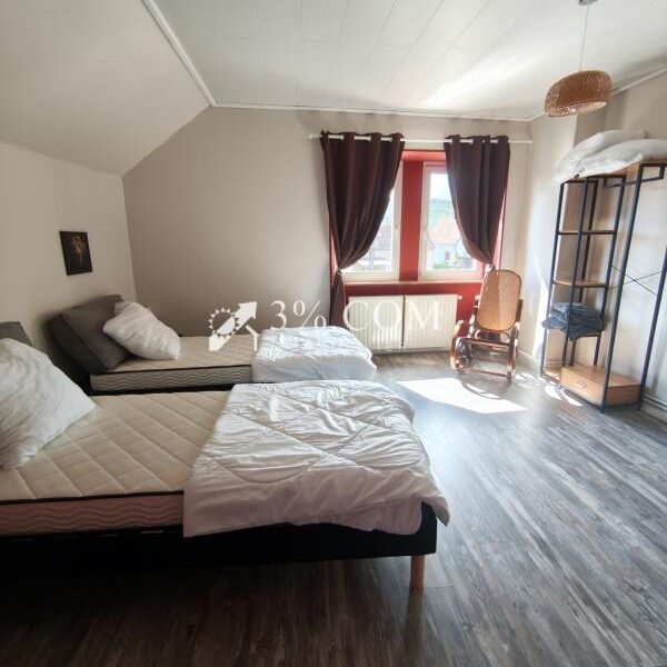 Maison à vendre à Baerenthal — Vue nature — photo 11