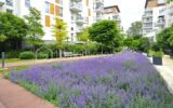 Appartement à vendre à Alfortville — Vue fleuve — photo 12
