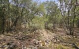 Terrain à vendre à Oraison — Vue dégagée — photo 12