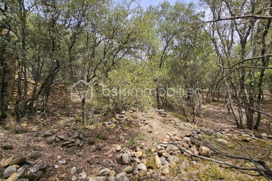 Terrain à vendre à Oraison — Vue dégagée — photo 12