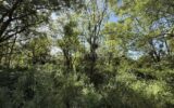 Terrain à vendre à Le mans — Vue dégagée — photo 12