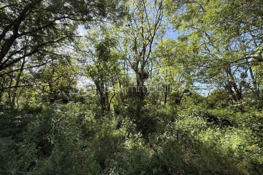 Terrain à vendre à Le mans — Vue dégagée — photo 12
